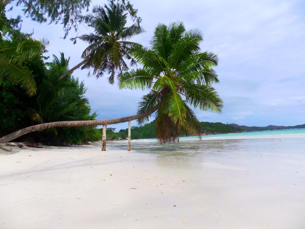 Anse Volbert Praslin Seychellerna