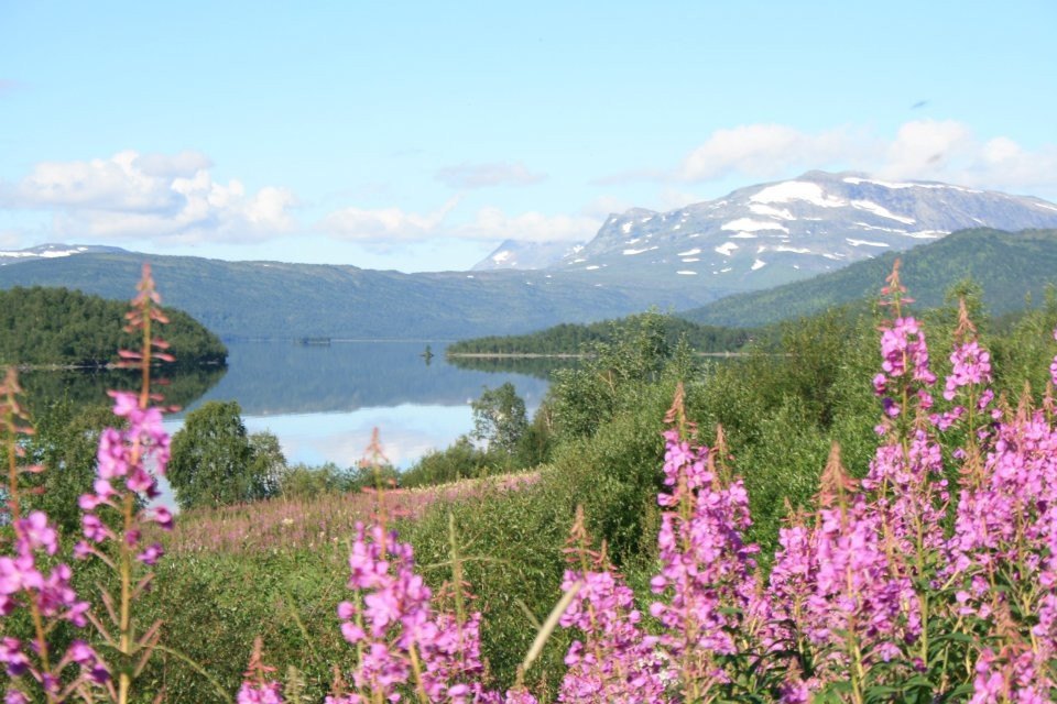 Fjällvandring med barn 