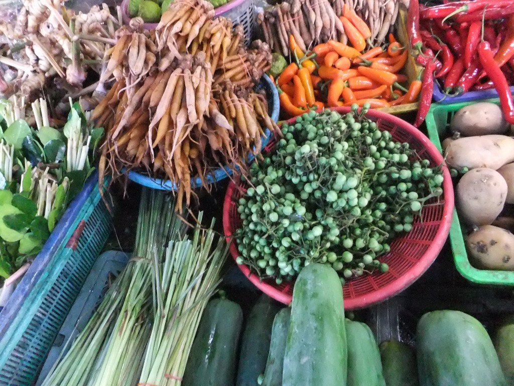 DSCF2609