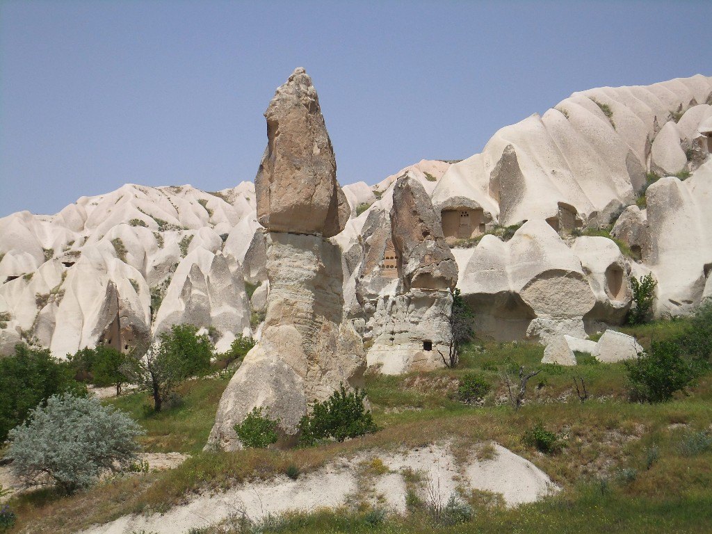 DSCF5852