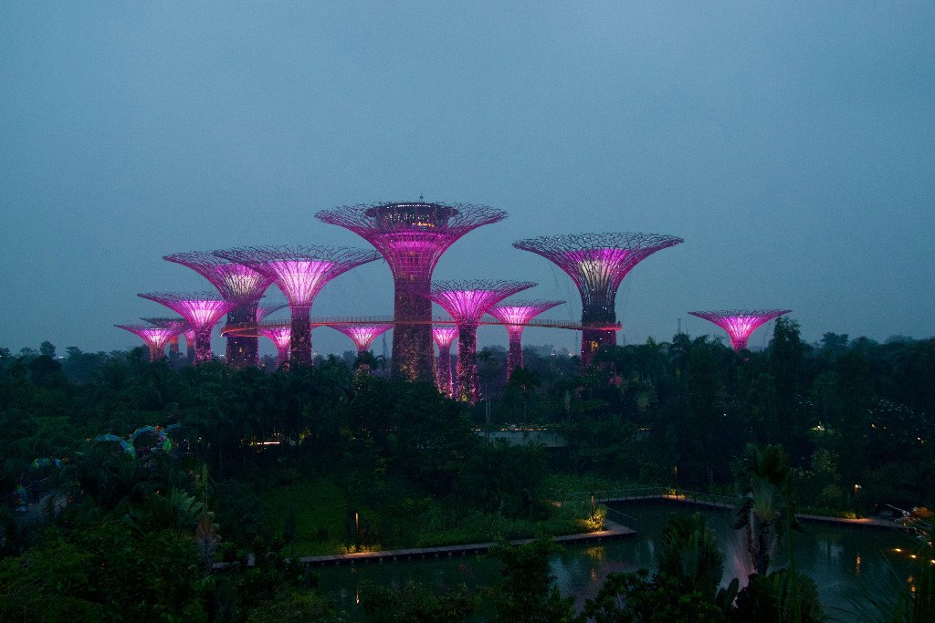 Garden by the bay sett från marina bay sands