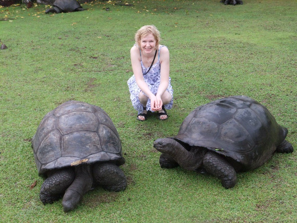 sköldpaddor på Seychellerna